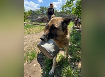 Juci sucht Abenteuer