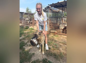 Juci sucht Abenteuer