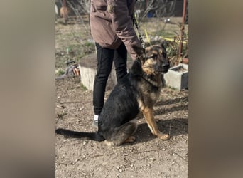 Endlich ankommen – das wünscht sich Szebra