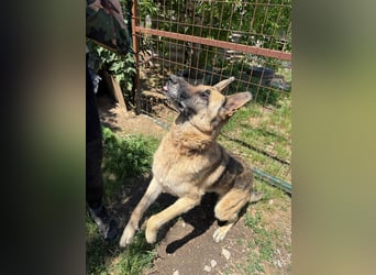 Juci sucht Abenteuer