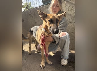 Missy - ist es anscheinend nicht wert geliebt zu werden???