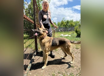 Juci sucht Abenteuer