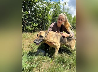 Juci sucht Abenteuer