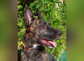 Xena