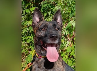 Xena