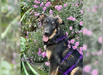 Enola wartet schon lange auf eine Familie