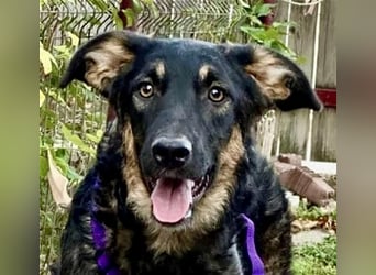 Enola wartet schon lange auf eine Familie