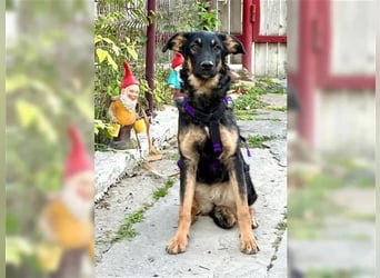 Enola wartet schon lange auf eine Familie