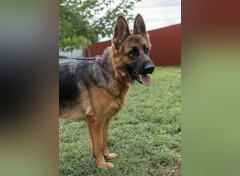 Roxan, 01.2024 geboren, 60cm sucht ihr Zuhause