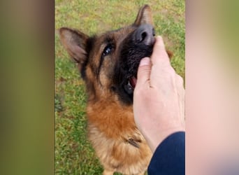 Marvel sucht ihren Menschen