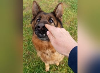 Marvel sucht ihren Menschen