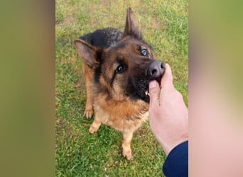 Marvel sucht ihren Menschen