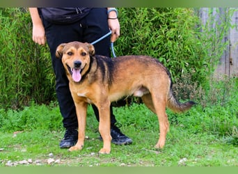 Freundlich – Sanft – Unkompliziert = • P•E•P•E •