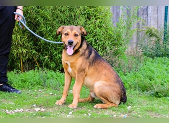 Freundlich – Sanft – Unkompliziert = • P•E•P•E •