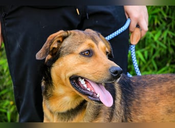 Freundlich – Sanft – Unkompliziert = • P•E•P•E •