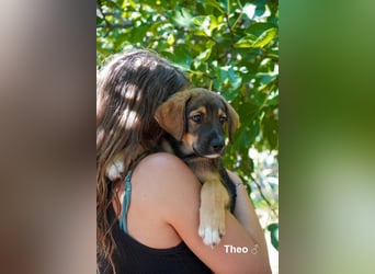 Tilly und Theo suchen noch ein Zuhause