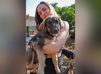 Tilly und Theo suchen noch ein Zuhause