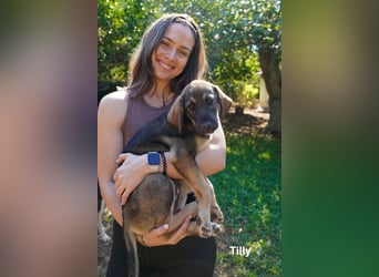 Tilly und Theo suchen noch ein Zuhause