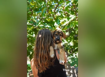 Tilly und Theo suchen noch ein Zuhause