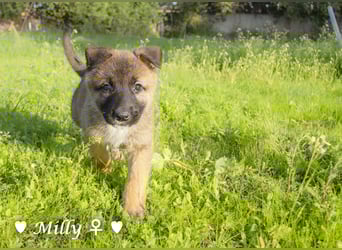 Die M-Mädels suchen ab Januar ein Zuhause