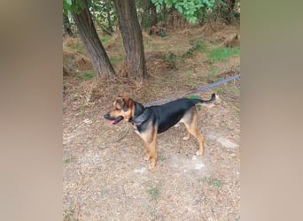 Zeno VA - aufgeschlossen, kinderlieb