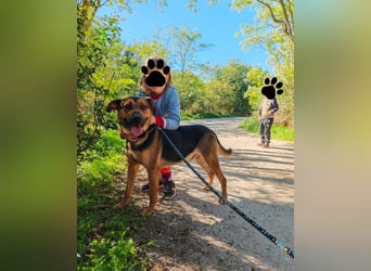 Zeno VA - aufgeschlossen, kinderlieb