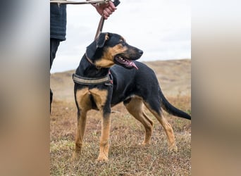 Neo SI - menschenlieb, kinderfreundlich