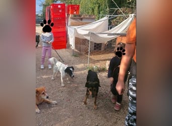 Zeno VA - aufgeschlossen, kinderlieb