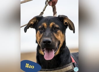 Neo SI - menschenlieb, kinderfreundlich