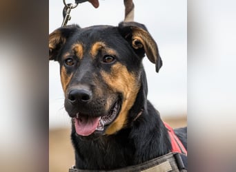 Neo SI - menschenlieb, kinderfreundlich