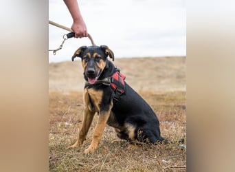 Neo SI - menschenlieb, kinderfreundlich