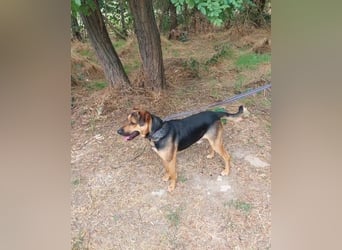 Zeno VA - aufgeschlossen, kinderlieb