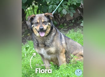 Flora SI, freundlich, fröhlich, aktiv