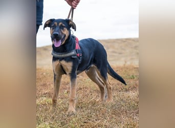 Neo SI - menschenlieb, kinderfreundlich