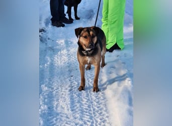 Zeno VA - aufgeschlossen, kinderlieb