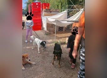 Zeno VA - aufgeschlossen, kinderlieb