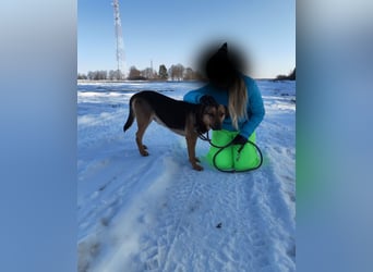 Zeno VA - aufgeschlossen, kinderlieb