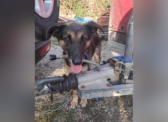 Roxana VA - kinderlieb, tapfer,liebevoll