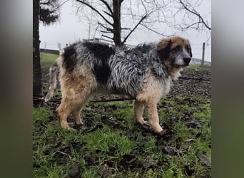 Olga - Augen sind der Spiegel ihrer Seele