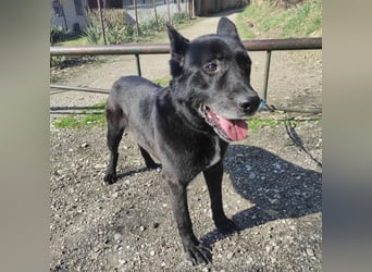 Star möchte nochmal eine Familie