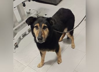 Otto schon eine Ewigkeit hinter Gittern