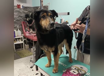 Otto schon eine Ewigkeit hinter Gittern