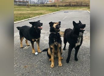 Otto schon eine Ewigkeit hinter Gittern
