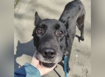 Star möchte nochmal eine Familie