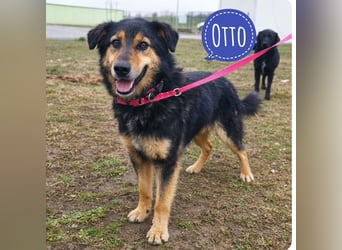 Otto schon eine Ewigkeit hinter Gittern