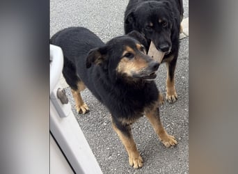 Otto schon eine Ewigkeit hinter Gittern