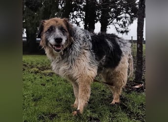 Olga - Augen sind der Spiegel ihrer Seele