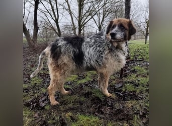 Olga - Augen sind der Spiegel ihrer Seele