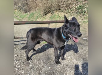 Star möchte nochmal eine Familie