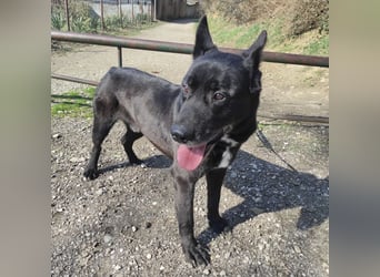 Star möchte nochmal eine Familie